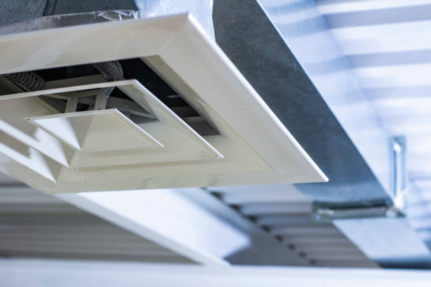 Best Air Duct Mold Removal  in Hartford, WI